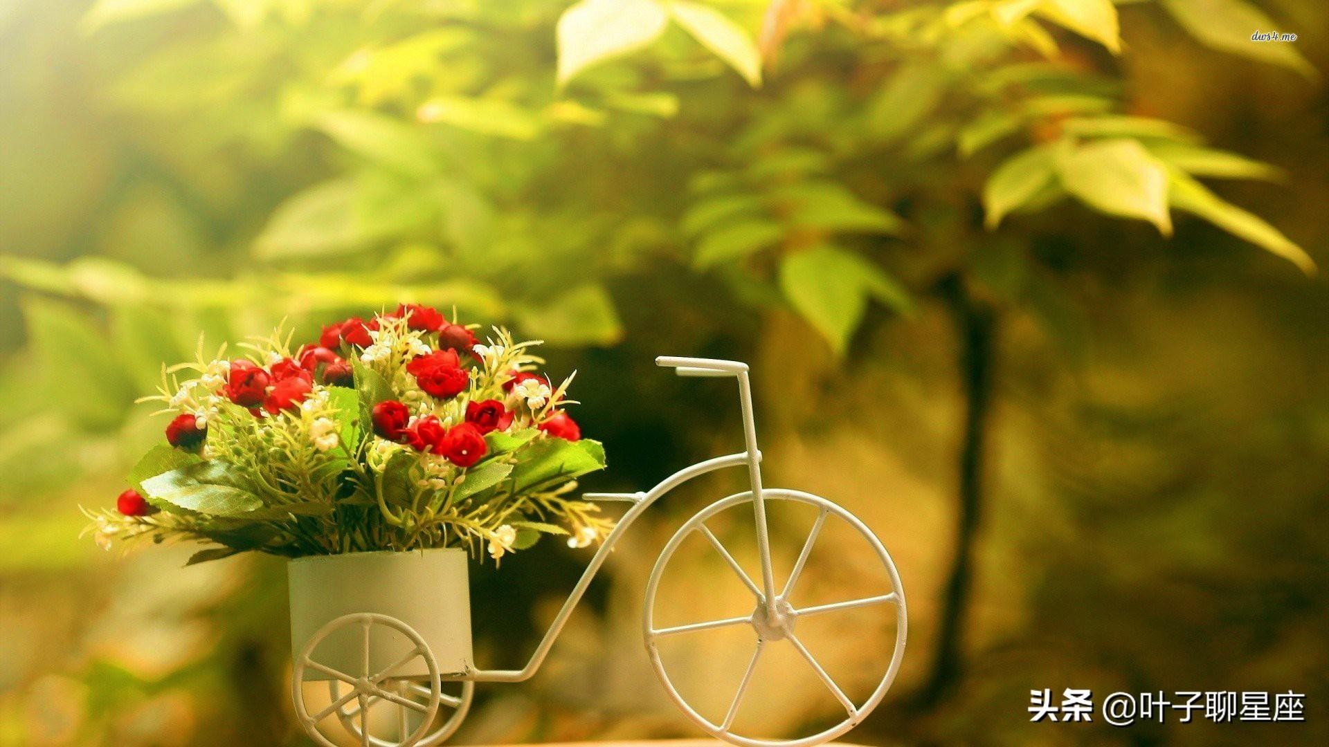 跟水瓶座般配的星座（最懂水瓶座的三大星座）