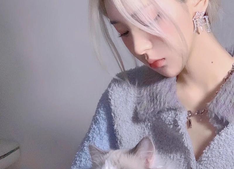 不是怎么造句子(实用50句)