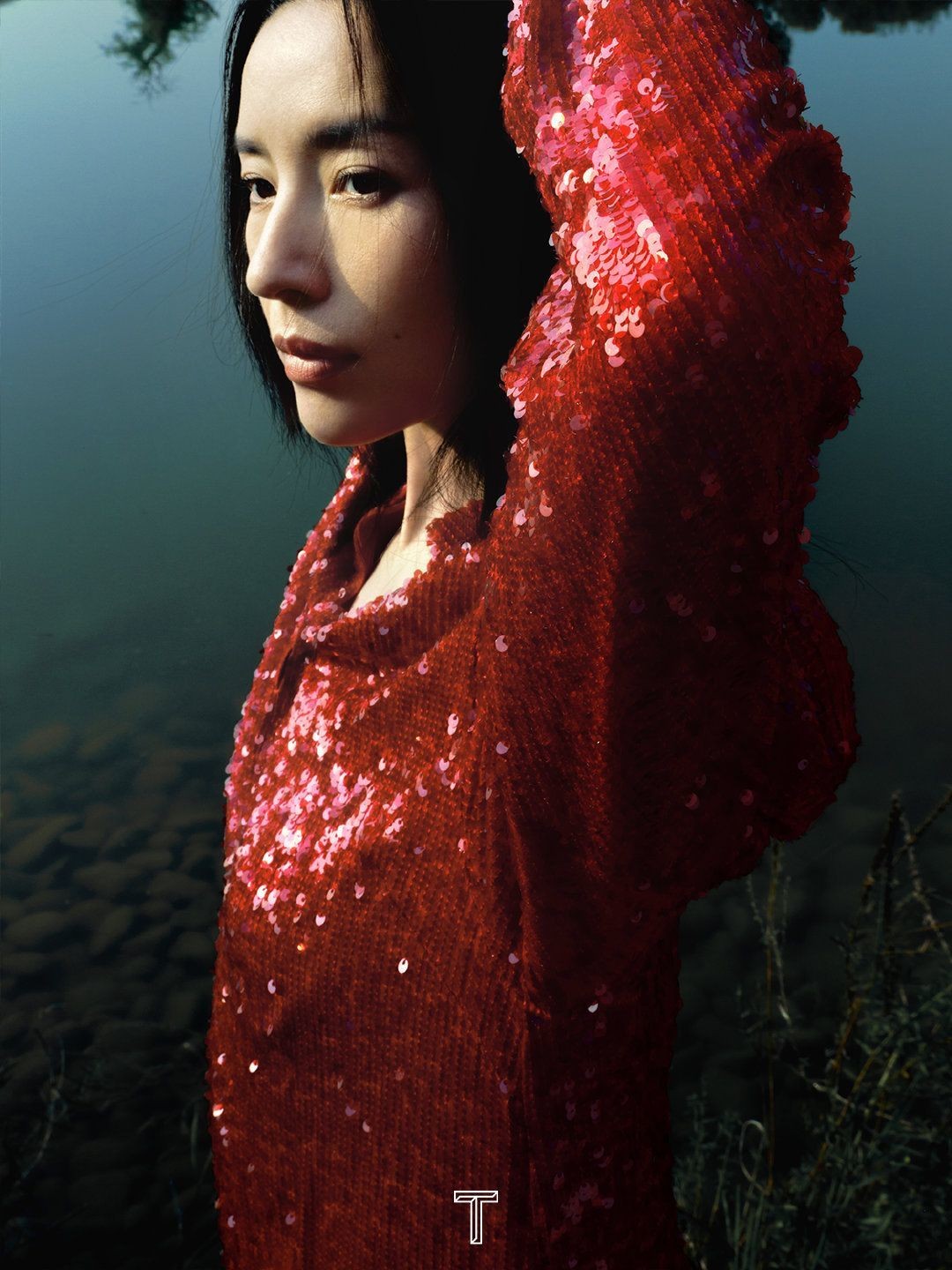 董洁个人资料写真作品