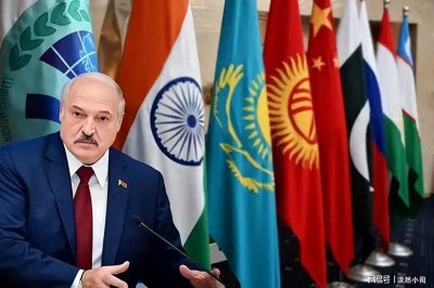 ​上合组织是什么？你真的了解上合组织吗？一文带你彻底了解它!