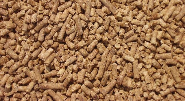 人真的能被笑死吗（笑死了不是一句玩笑）(20)