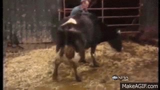 人真的能被笑死吗（笑死了不是一句玩笑）(19)