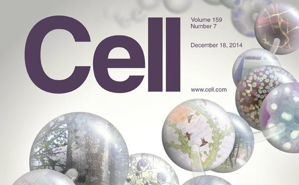 人真的能被笑死吗（笑死了不是一句玩笑）(27)