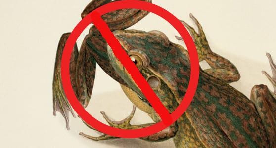 人真的能被笑死吗（笑死了不是一句玩笑）(14)