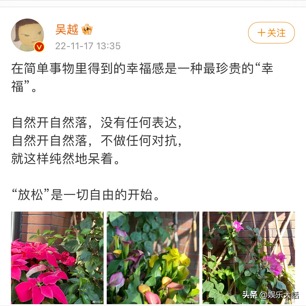 吴越个人资料和平年代（50岁的吴越：虽无儿无女，但不代表没有伴侣，人生不该只有爱情）