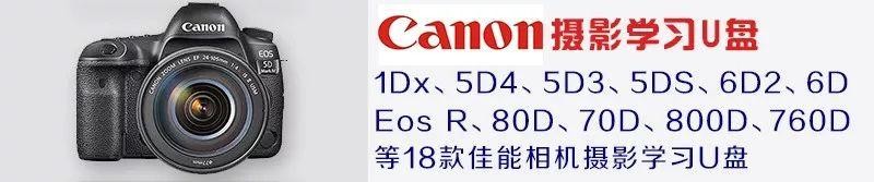 佳能相机镜头型号大全（佳能镜头群庞大）(17)