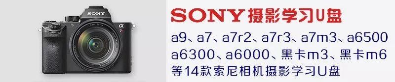 佳能相机镜头型号大全（佳能镜头群庞大）(16)