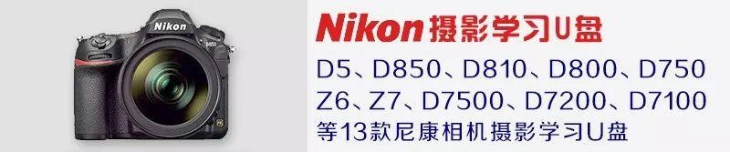 佳能相机镜头型号大全（佳能镜头群庞大）(18)