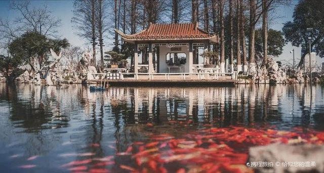 凤凰古城值得打卡的饭店（神便宜400）(8)