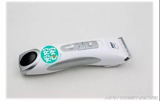 宠物美容的工具和用品主要有哪些(学会运用这16种宠物美容工具)(3)