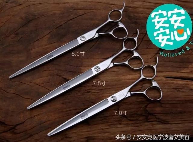 宠物美容的工具和用品主要有哪些(学会运用这16种宠物美容工具)(5)