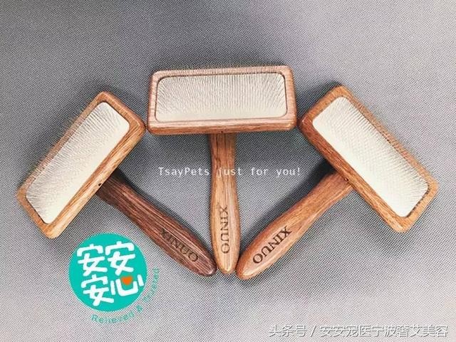 宠物美容的工具和用品主要有哪些(学会运用这16种宠物美容工具)(7)