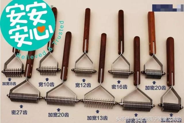 宠物美容的工具和用品主要有哪些(学会运用这16种宠物美容工具)(9)