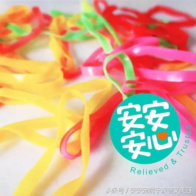 宠物美容的工具和用品主要有哪些(学会运用这16种宠物美容工具)(16)