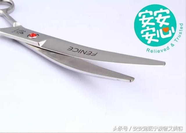 宠物美容的工具和用品主要有哪些(学会运用这16种宠物美容工具)(11)