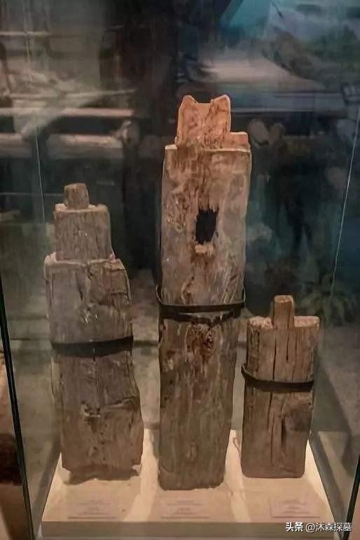 人类最早的文明河姆渡（7000年前消失的河姆渡文明）(6)