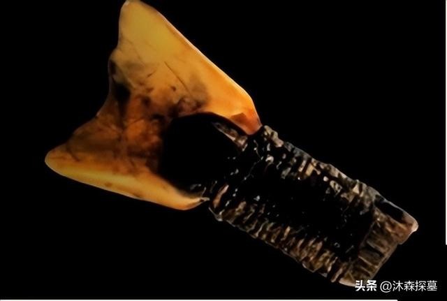 人类最早的文明河姆渡（7000年前消失的河姆渡文明）(4)