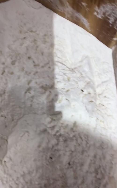 面粉里长虫子了还能吃吗