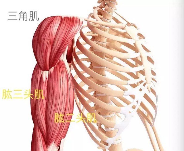 女明星露点照片（秀智学雪莉放飞自我露点上镜）