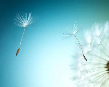 ​错把陈醋当成墨,写尽半生纸上酸;错把老墨当成醋,尝尽半世心中苦