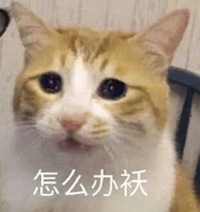 ​长沙黄花机场最新机场大巴时刻表、磁浮时刻表