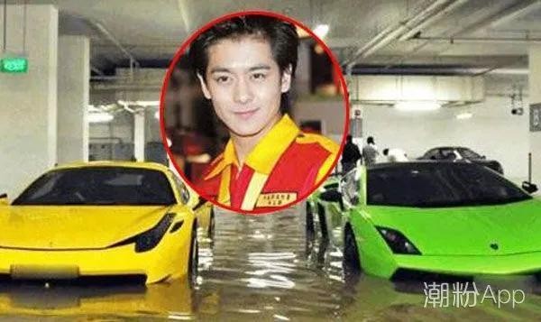 林志颖到底有多有钱(身价百亿的富豪明星林志颖)