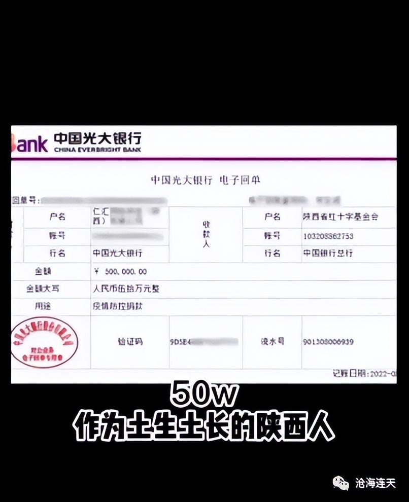 陕西木森个人介绍（正能量主播木森为家乡防疫捐款50W）