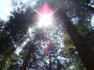 ​大自然的奇迹—人间仙境：九寨沟