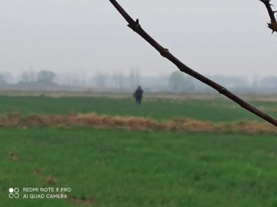 ​让大家知道辈分的排列