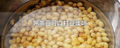 ​煮熟黄豆打豆浆可以吗 黄豆可以煮熟打豆浆吗
