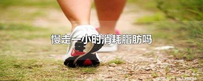 ​走路半小时能消耗脂肪吗男生 走路一小时能消耗脂肪吗