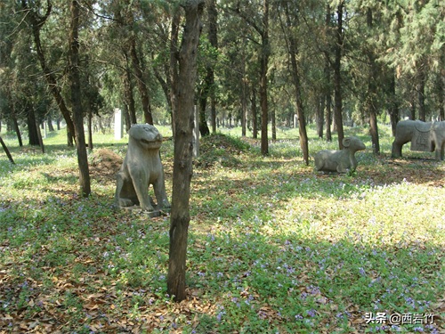 孔子的嫡系后人为什么再没葬在曲阜孔林？