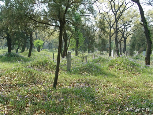 孔子的嫡系后人为什么再没葬在曲阜孔林？