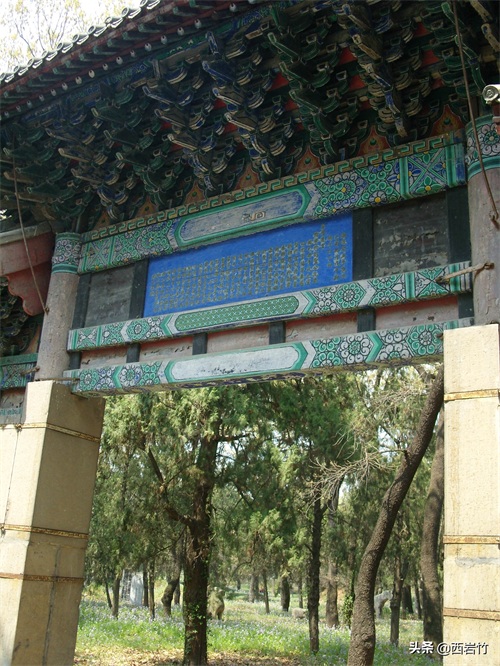 孔子的嫡系后人为什么再没葬在曲阜孔林？