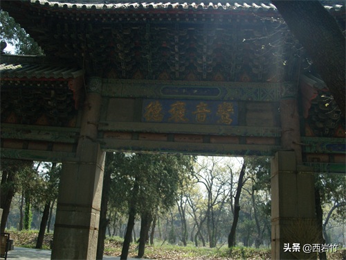 孔子的嫡系后人为什么再没葬在曲阜孔林？