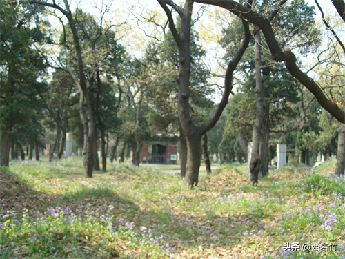 孔子的嫡系后人为什么再没葬在曲阜孔林？