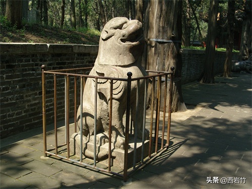 孔子的嫡系后人为什么再没葬在曲阜孔林？