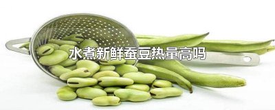 ​新鲜蚕豆水煮好吃吗 新鲜蚕豆是开水煮还是冷水煮