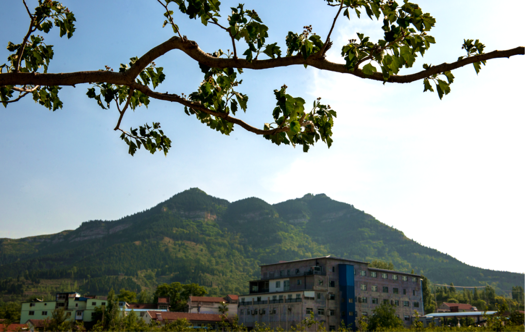 莱芜旅游免费景点大全（莱芜这些山一定不要错过！）