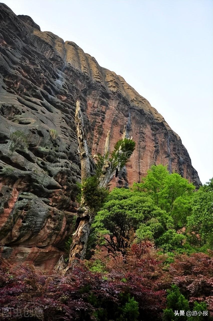 什么是国家公园（5个国家公园有哪些）(图3)