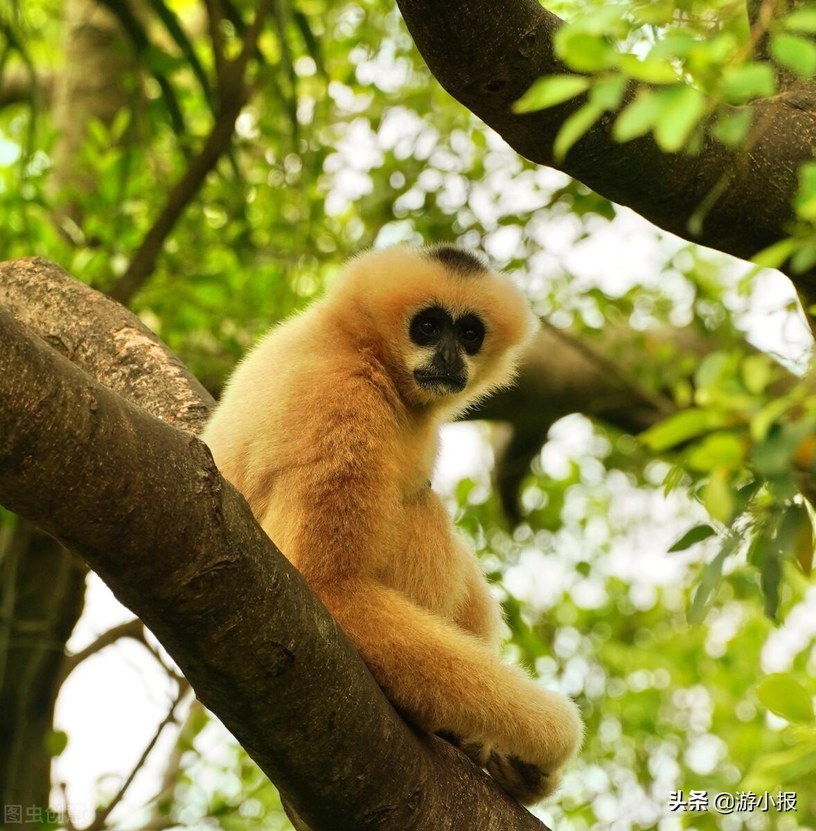 什么是国家公园（5个国家公园有哪些）(图4)