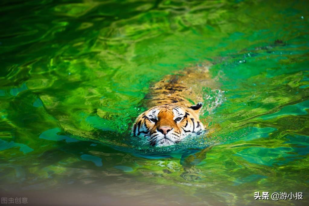 什么是国家公园（5个国家公园有哪些）(图6)