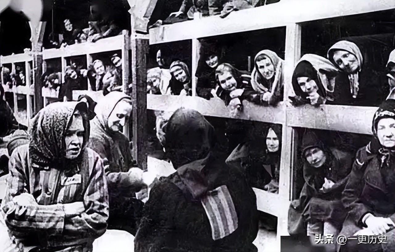 德军怎样分辨犹太人（犹太人怎么区分长相）(图8)