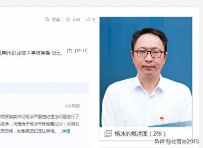 ​新闻背后：杨冰被双开移送司法机关，一个大学一把手这样身败名裂
