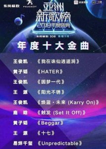 ​歌手什么意思(灵魂歌手什么意思)