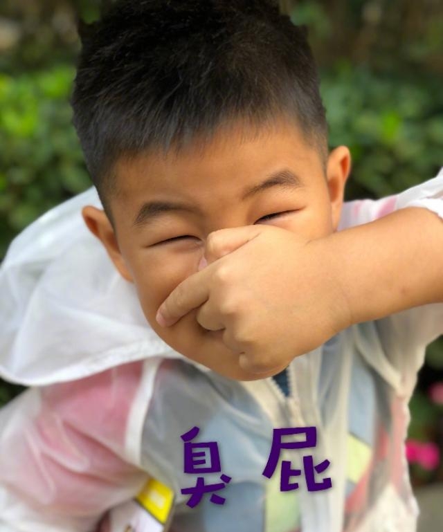 沙俊伯沙俊良(沙俊良沙俊伯综艺) 沙俊伯沙俊良 沙俊良沙俊伯 第3张