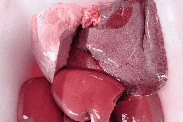 9种最简单的自制猫饭（十种简单的自制猫咪食谱）