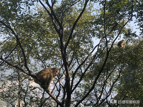 河南省 焦作 沁阳市 神农山
