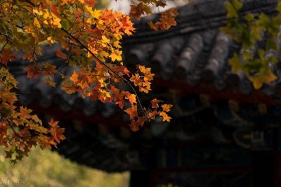 ​12首杜牧著名古诗，脍炙人口，家喻户晓，你最喜欢哪一首？