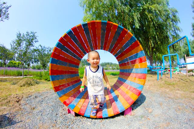 北京15个免费景点花海（属于夏天的紫色花海）(4)